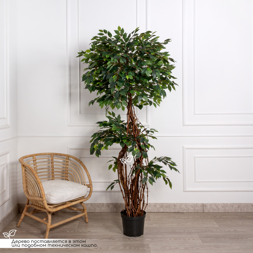 190/2К/ССТ/Л/34 Фикус искусственный h190см (латекс) _3