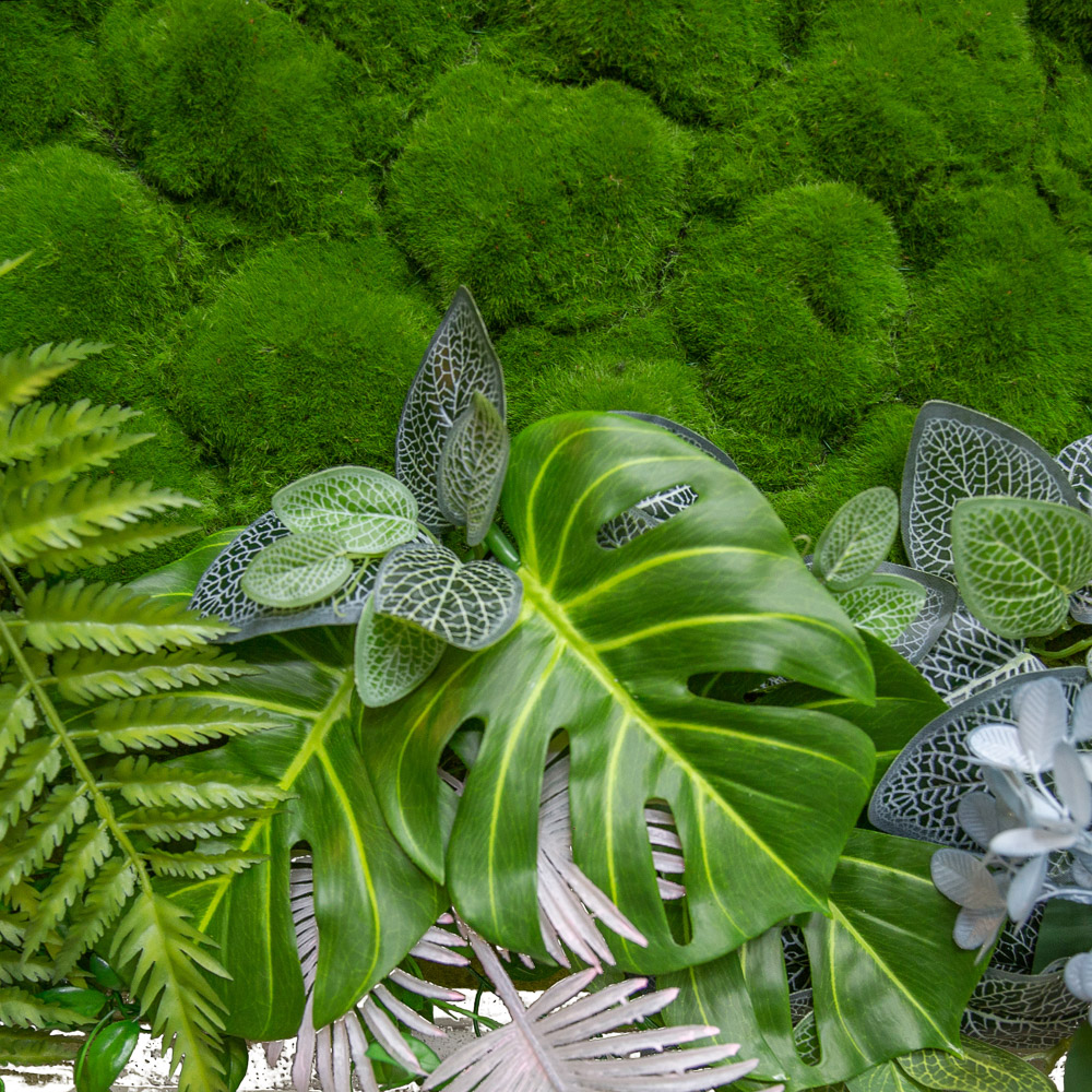 ФК20(з.) Фитокартина 150*80_3