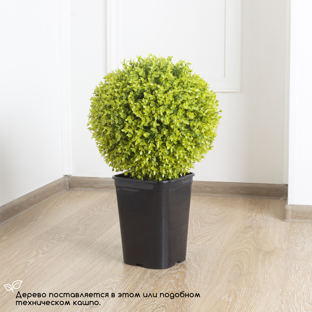 СШКТ35/98-1(з.) Самшит-топиарий d-35см_1