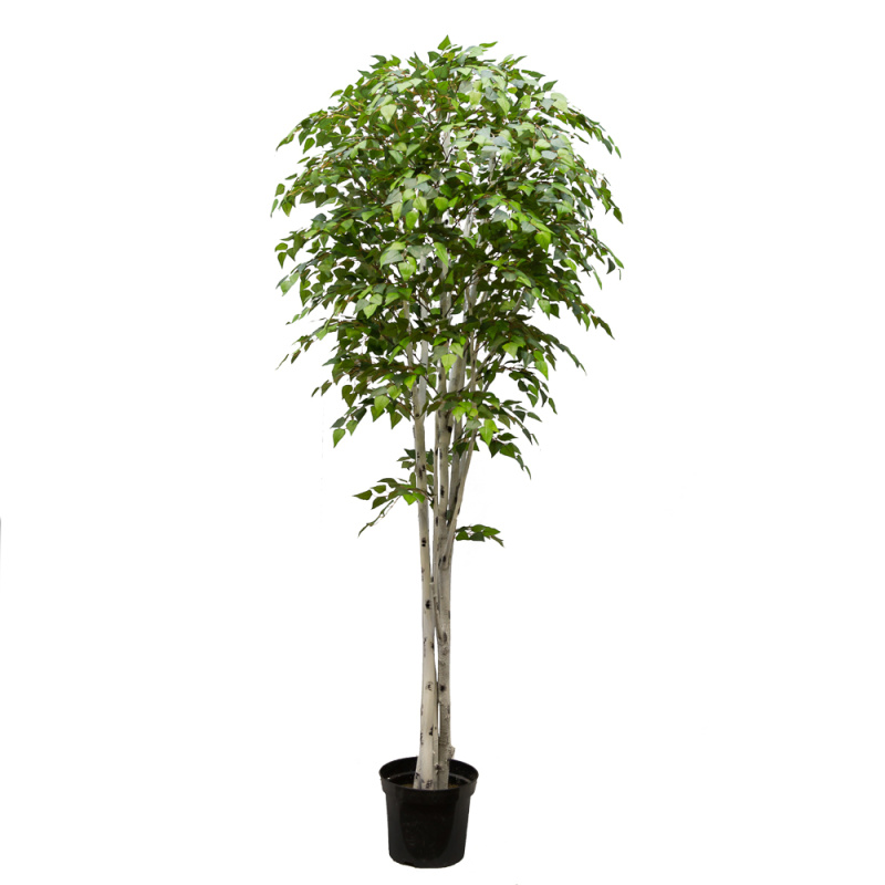 260/РН/12М(з) Береза искусственная h260см