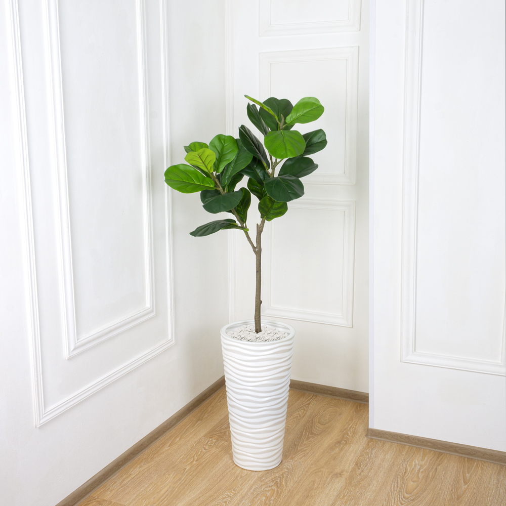 120/К/428(Х)(Fix) Фикус Лирата h120см_6