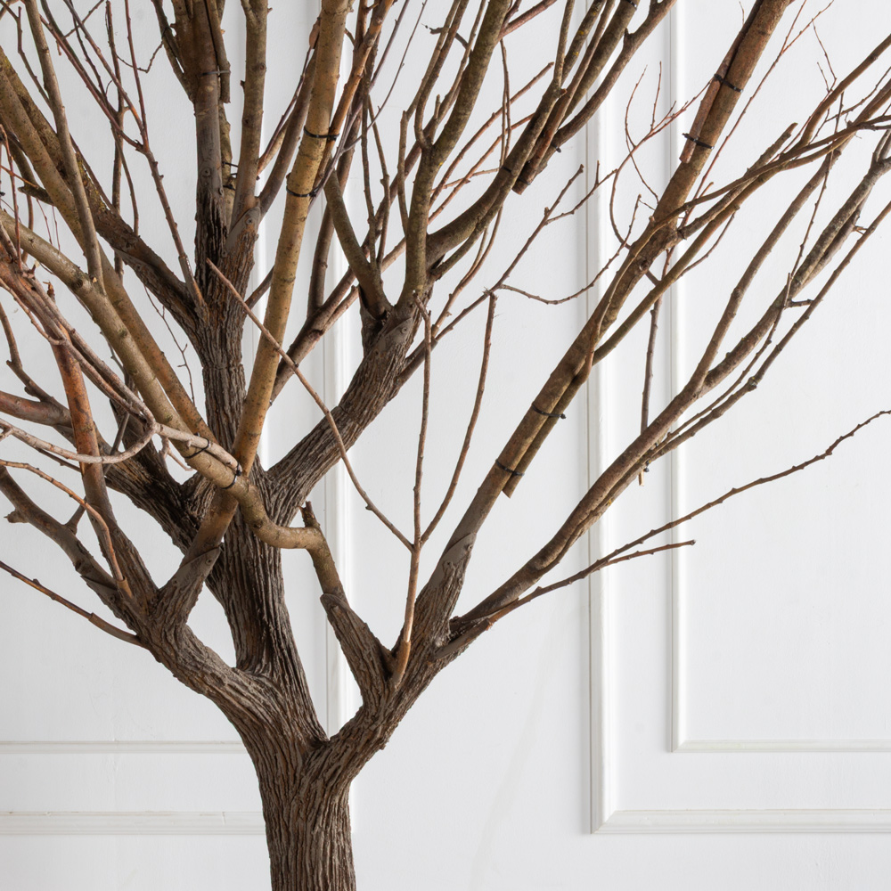 300Гбст/разб/РН(F) Дерево интерьерное с натуральными ветвями h300см d220см_13