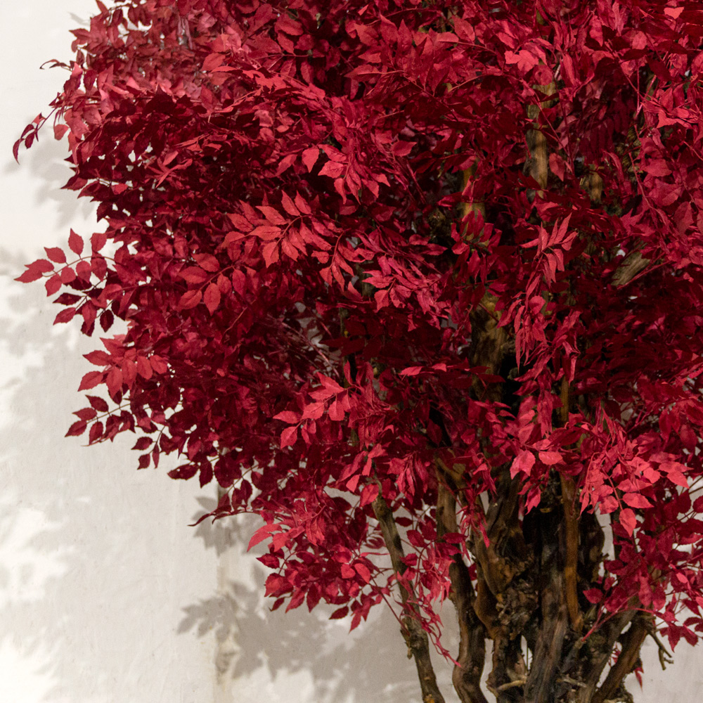 350/ОС/604(з)(УУ)(F) Дерево искусственноеинтерьерное h350см d210см_2