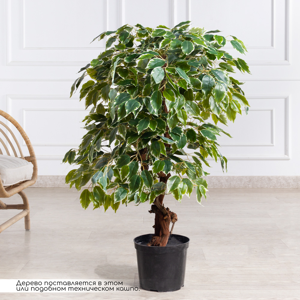 БЛ100/ОС/23М(F) Фикус искусственный h100см (латекс)_1