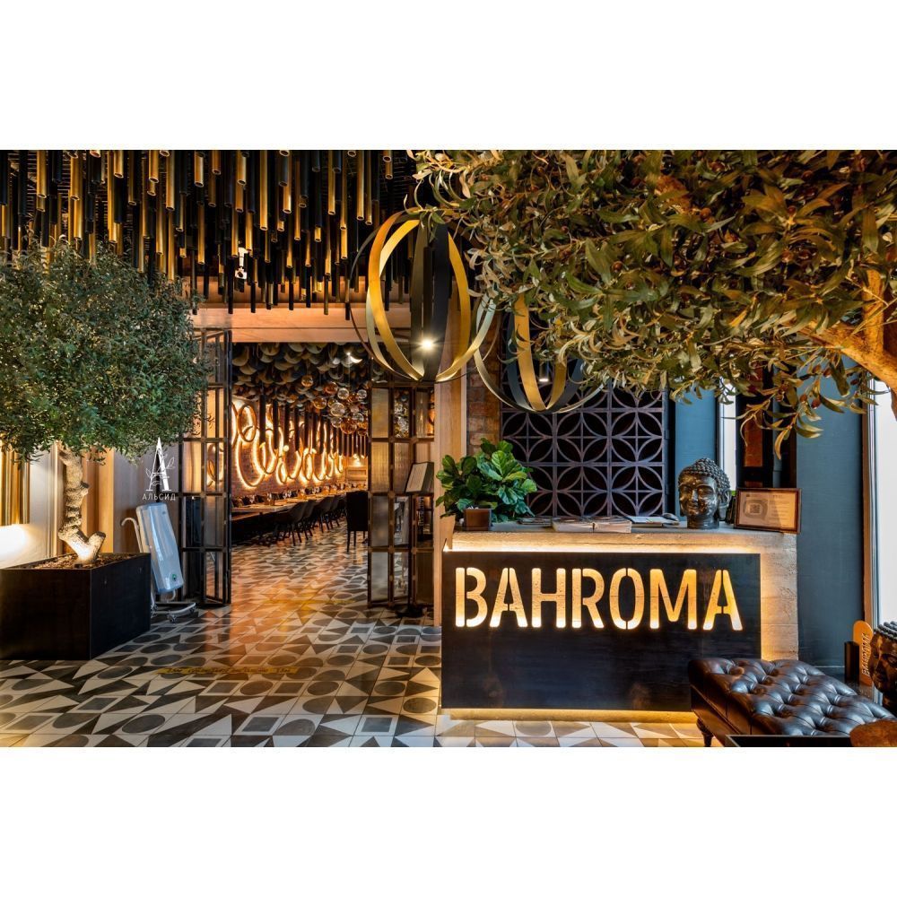 300разб/465 Оливковое дерево Премиум разборное h300см_4