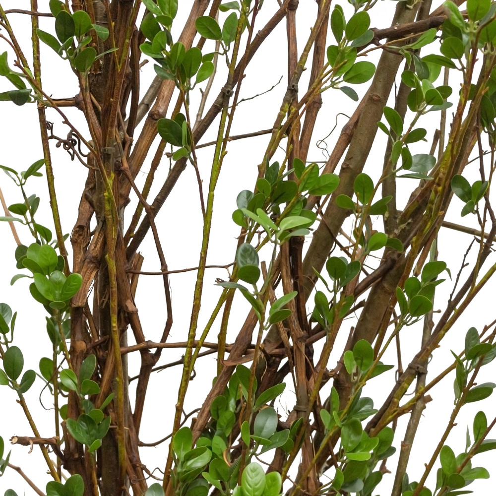 270/РН/46М(з.)_4