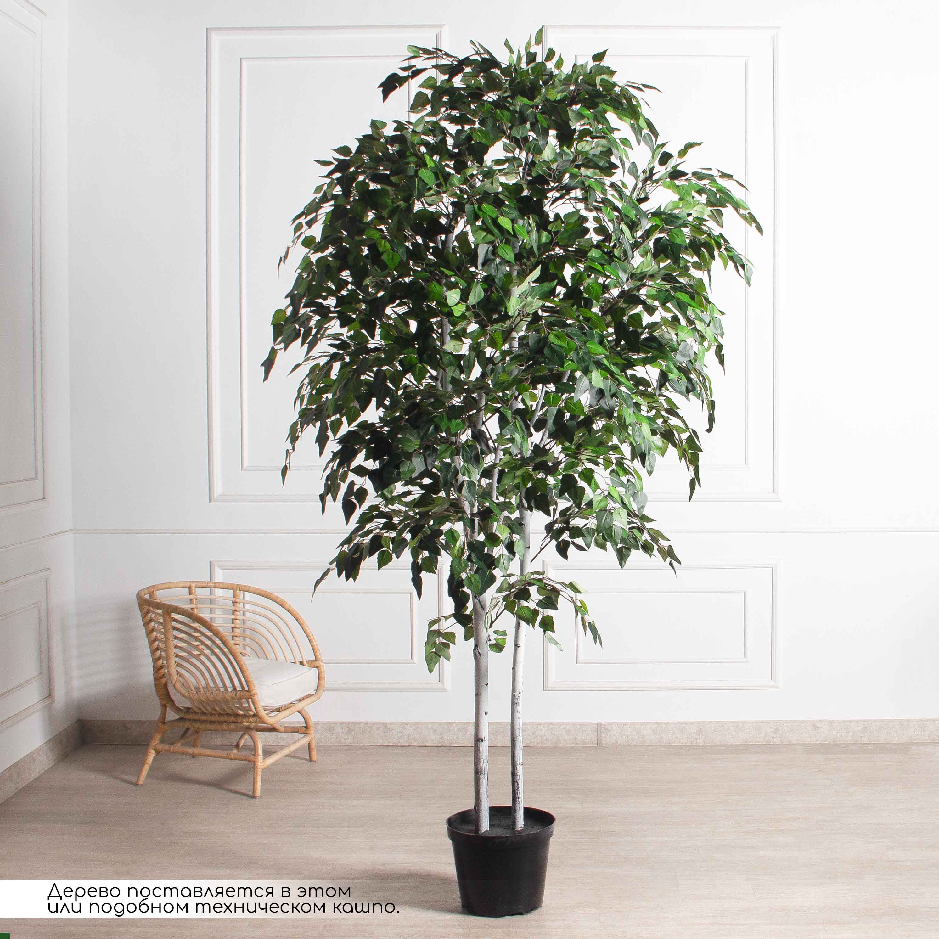 240/РН/12М-1(з)(F) Береза искусственная 2 ствола h240см_4