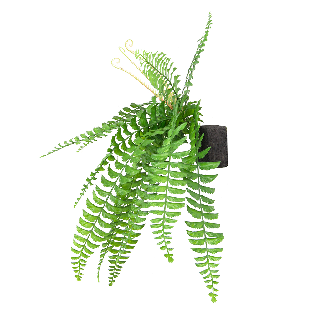 БК 34 Композиция с папоротником Осмунд на блоке 15*h10_2