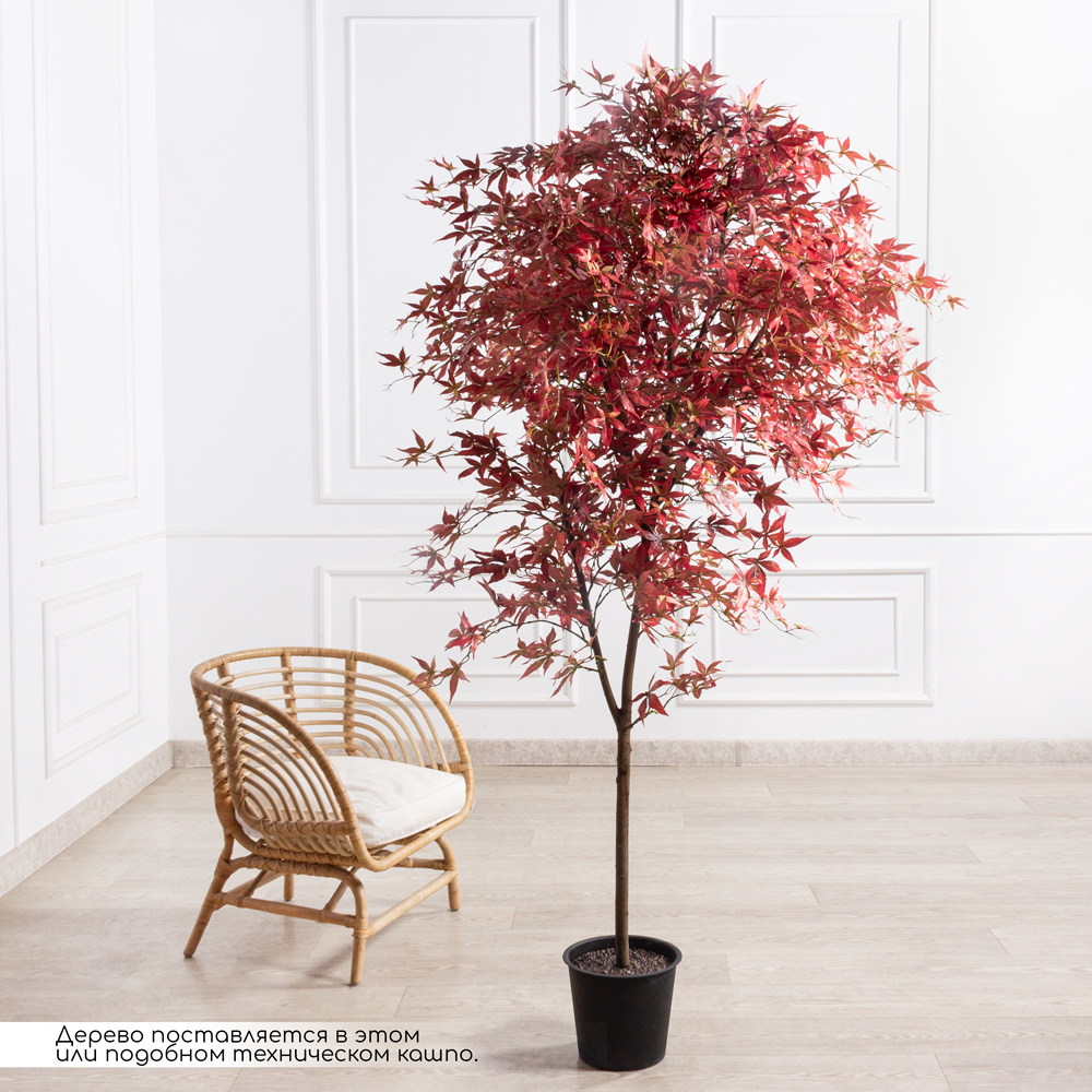 210/РН/530(з)(F) Клен Японский  искусственный  h210см, красный_1