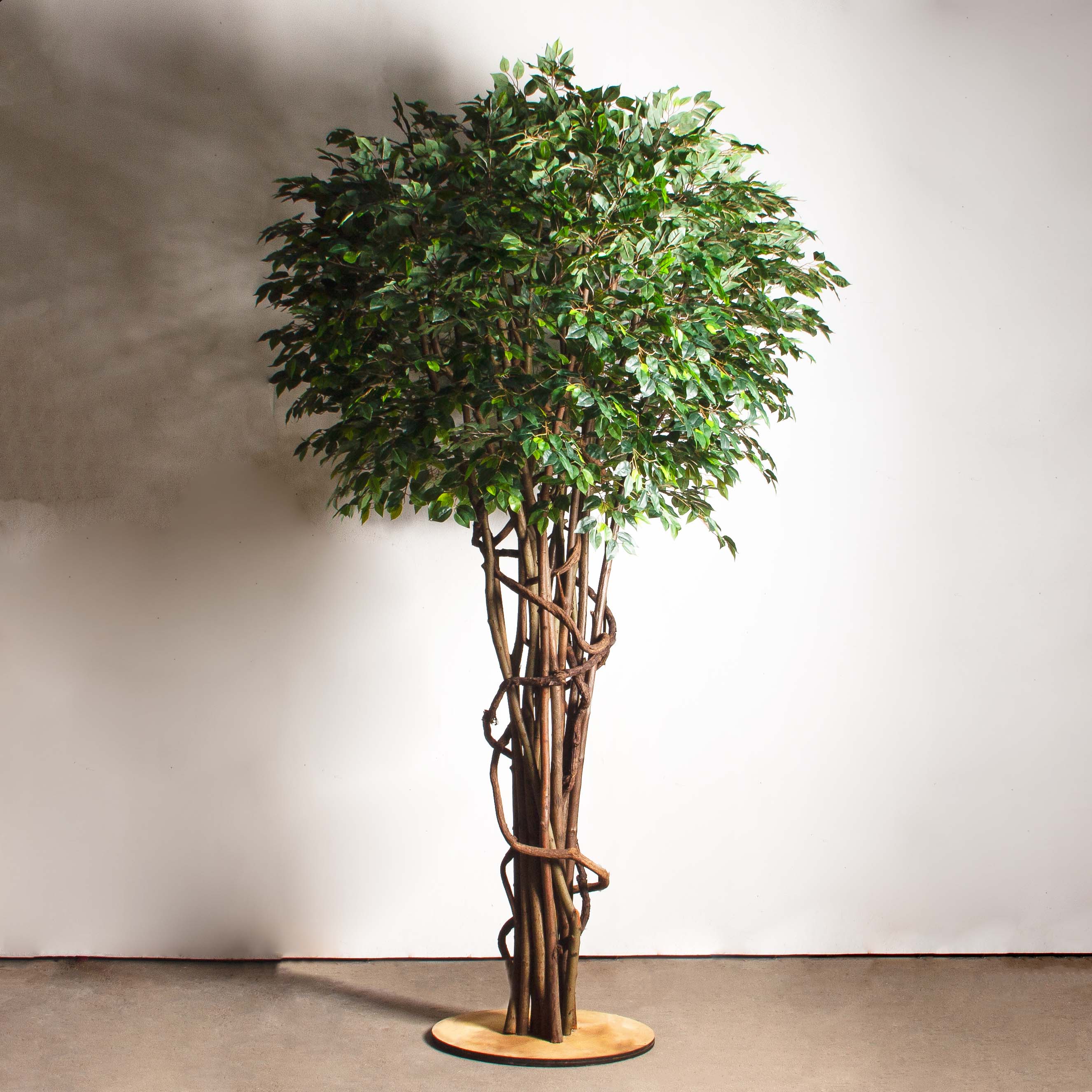 300/РН/Л/34(Пр)(F)Фикус искусственный h300см (латекс) на основании_2