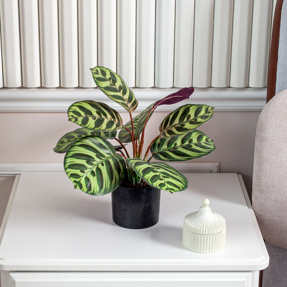 ЦС206 Калатея(F) искусственная зелено-фиолетовая_1