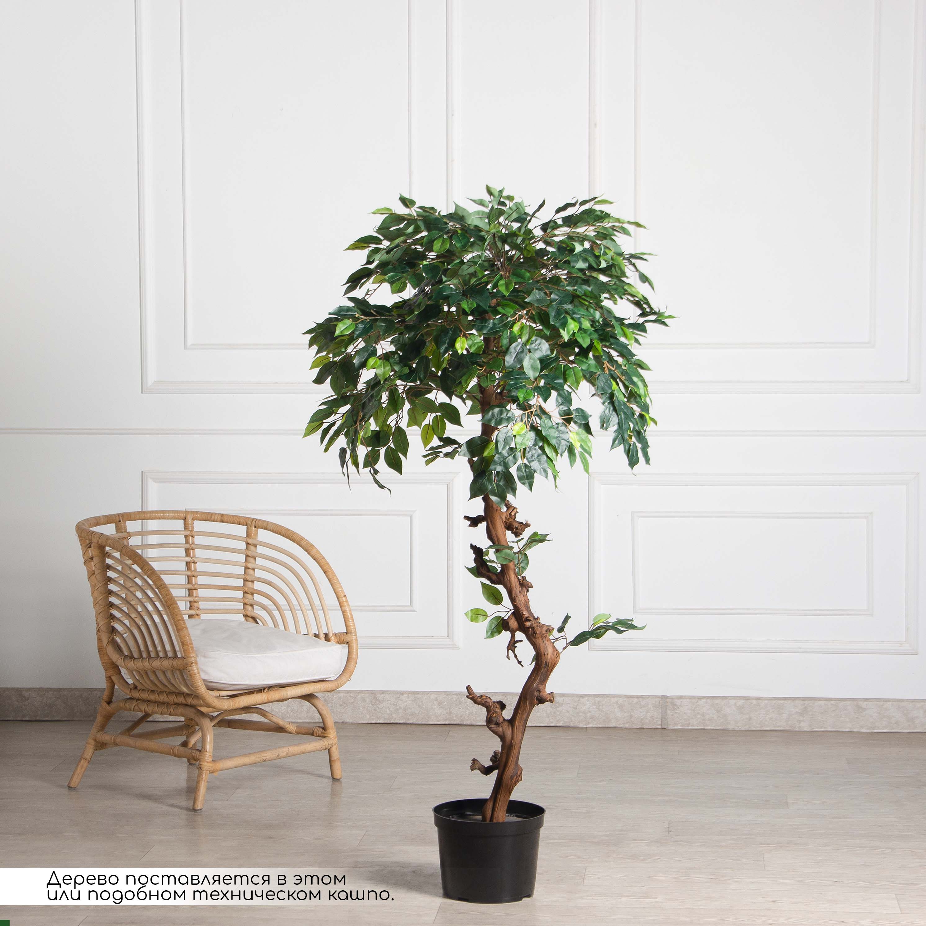 160/ОС/34(Пр)(F) Фикус искусственный h160см (латекс)_2