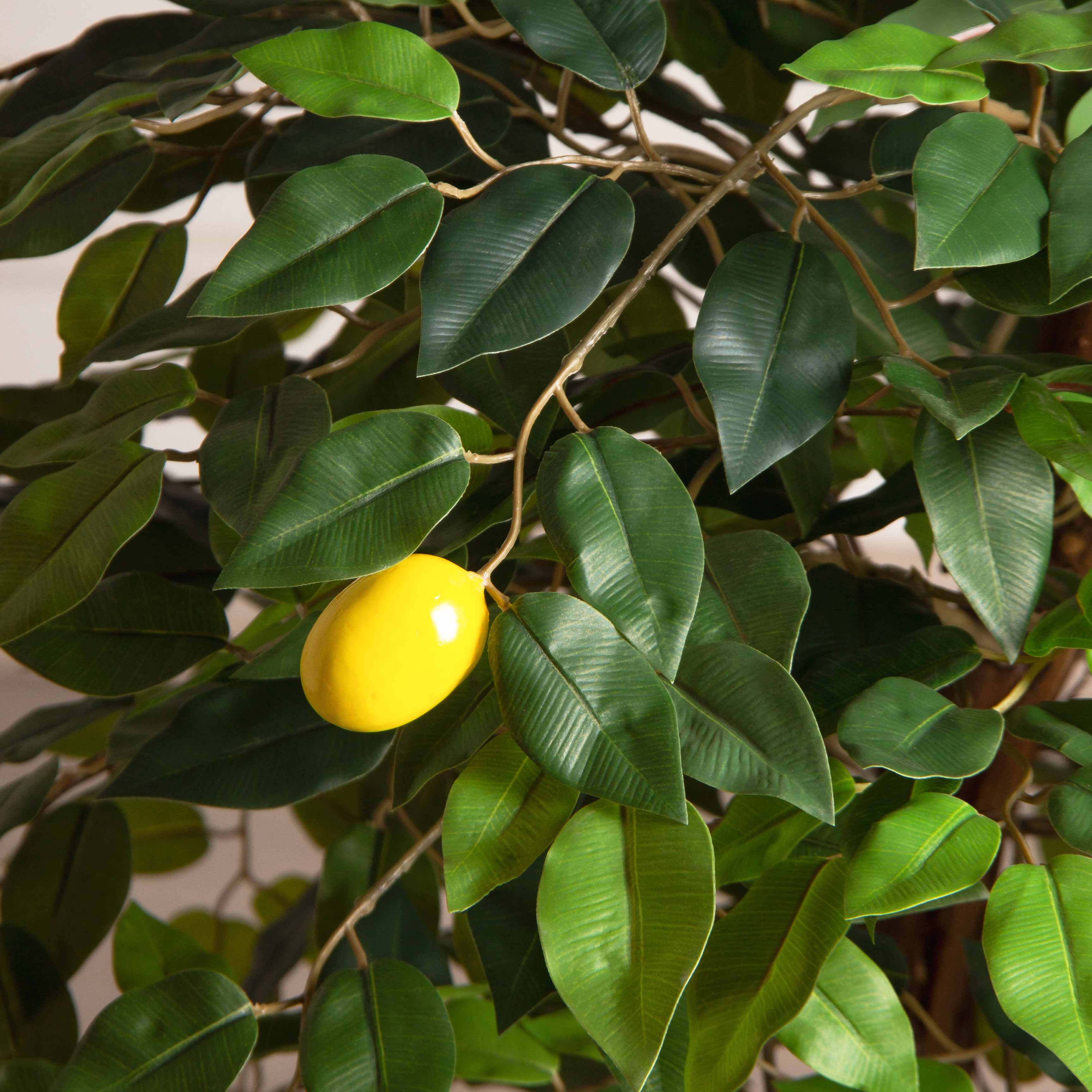 БП070/41(F) Бонсай искусственный Лимон с мини плодами h70см_4