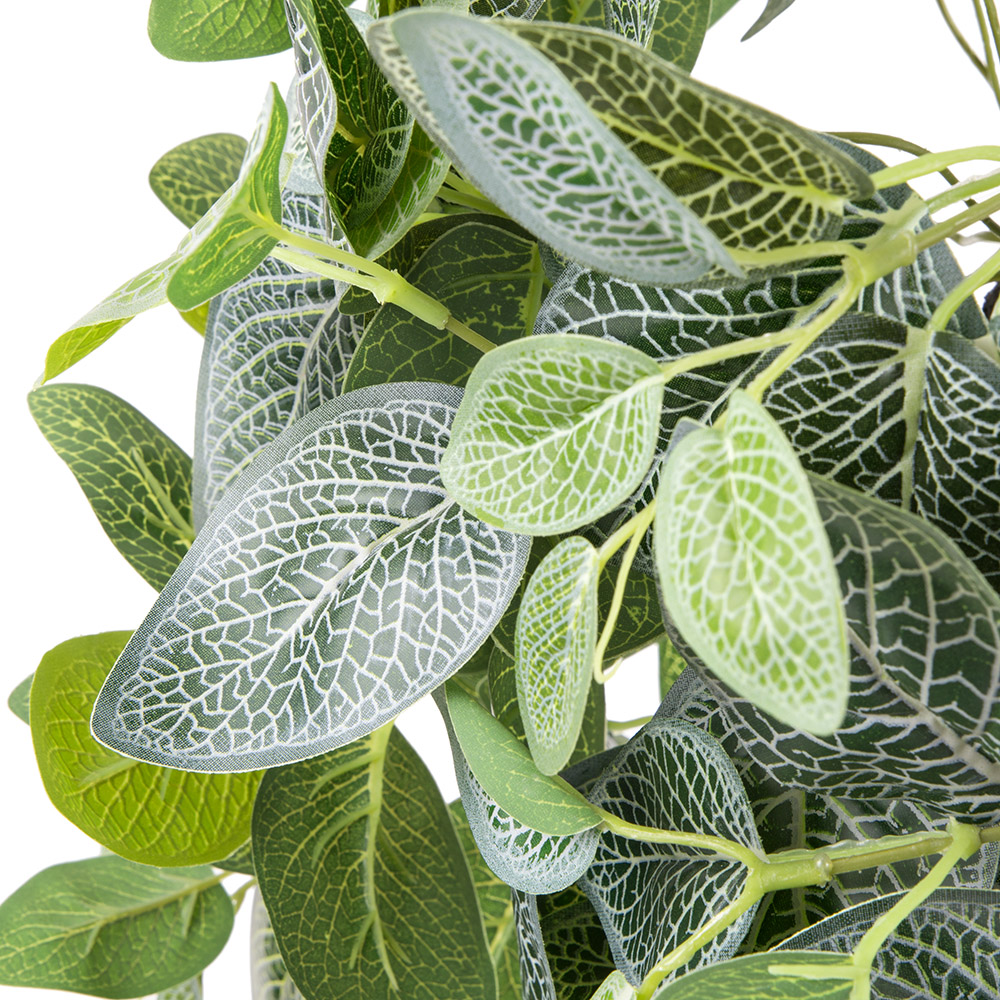 БК 09 Композиция с фиттонией на блоке 15*h10_3