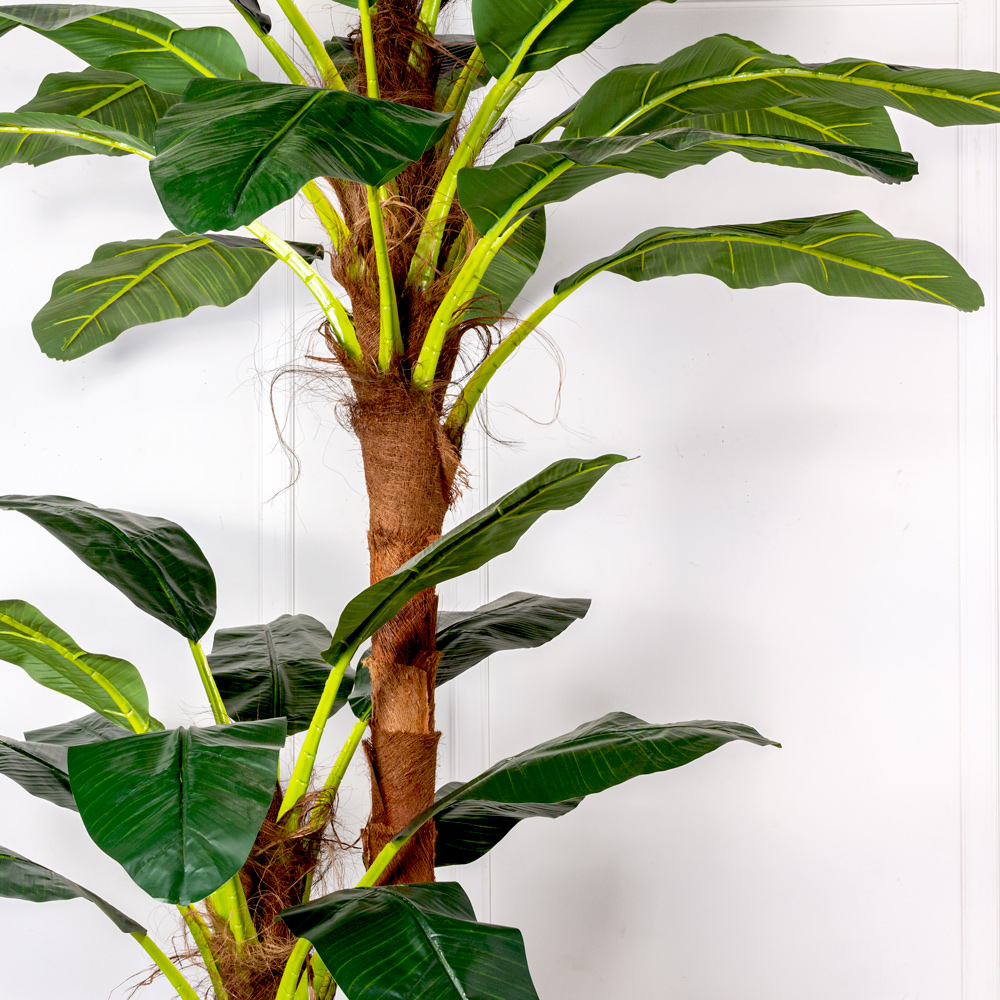 ПС250/2С/43(з)(F) Банановая пальма искусственная h250см (латекс премиум)_3