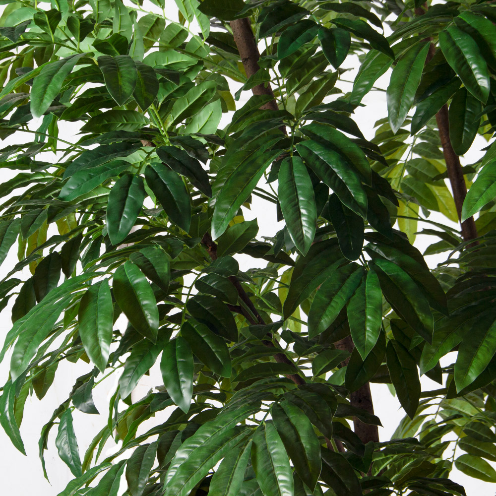 300/РН/220(Пр)(F) Манго искусственное h300см (латекс)_3