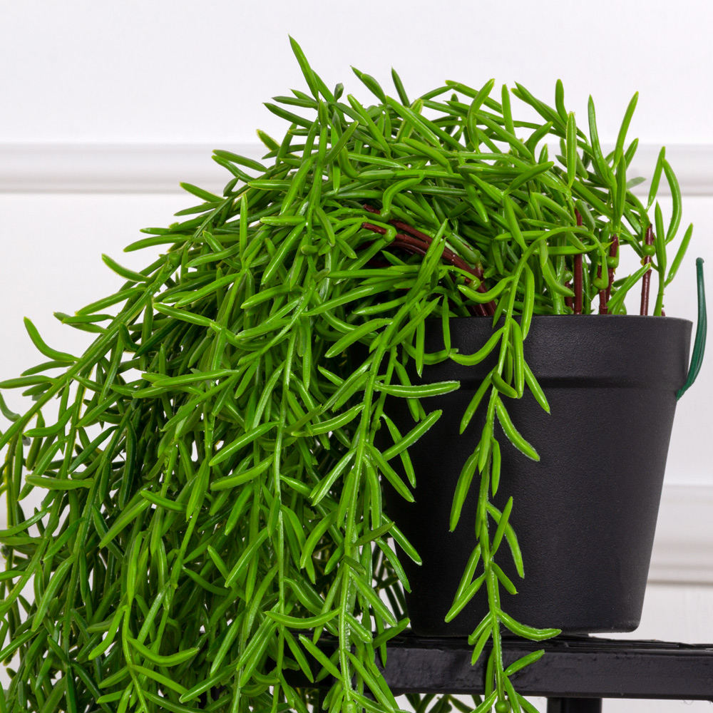 КС92 Аспарагус искусственный ампельный в кашпо d11см_8