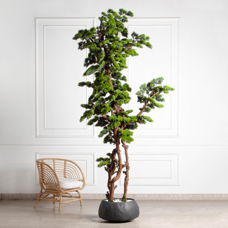 БС300/ОС/30(з)(УУ)(Пр)(F) Бонсай искусственный Сосна h300см d130см_1