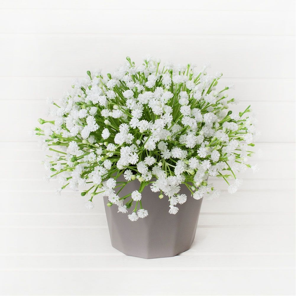 КС51-3 Гипсофила в кашпо h-21см (белая) (1ю)-1001x1001 (1)