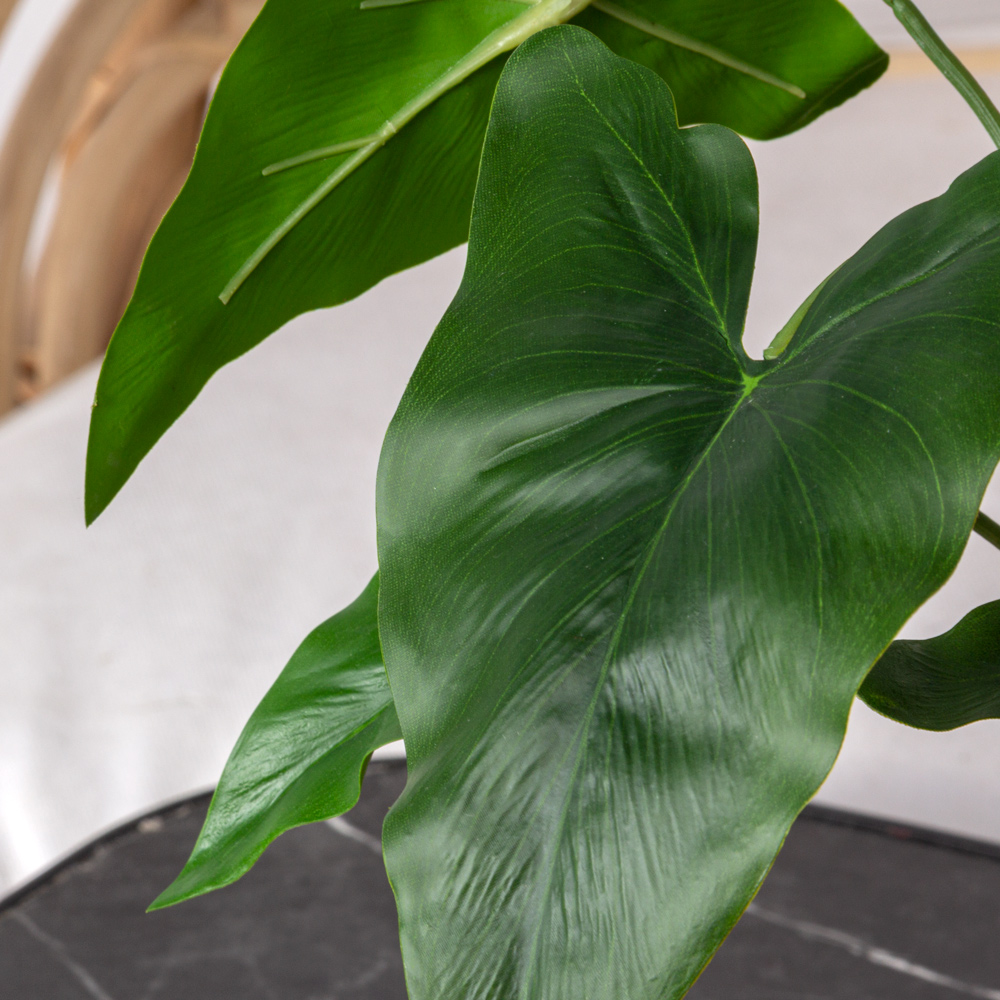 7143/0033-15 Алоказия искусственная куст малый с корнями 9 листов h40см, зеленый_1