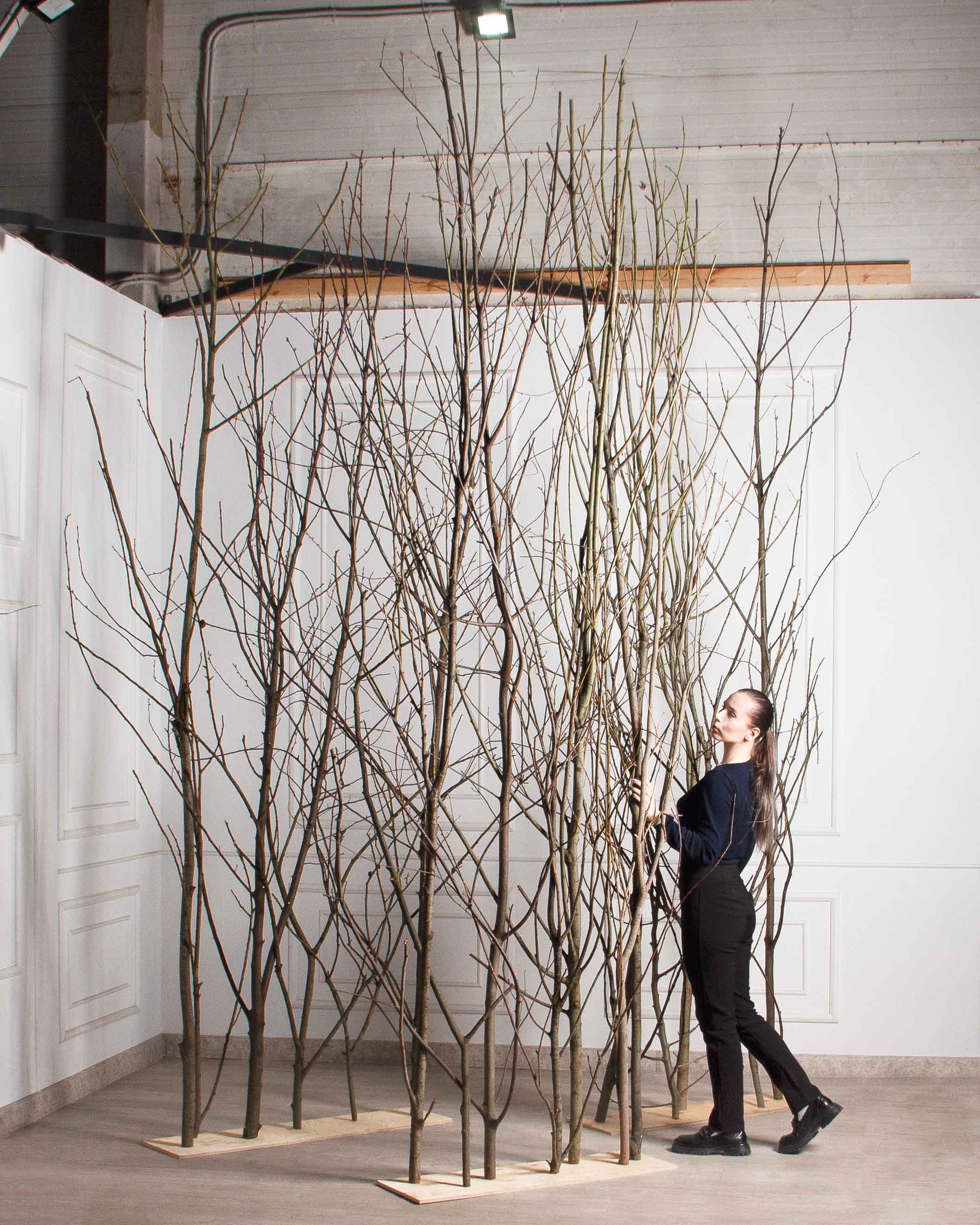 ДИ01-3(з)(F) Изгородь искусственная декоративная 316,5хh370см_6