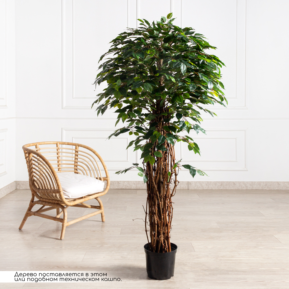 160/ССТК/ВП/34(УУ)(Пр)(F) Фикус искусственный h160см (латекс)_4