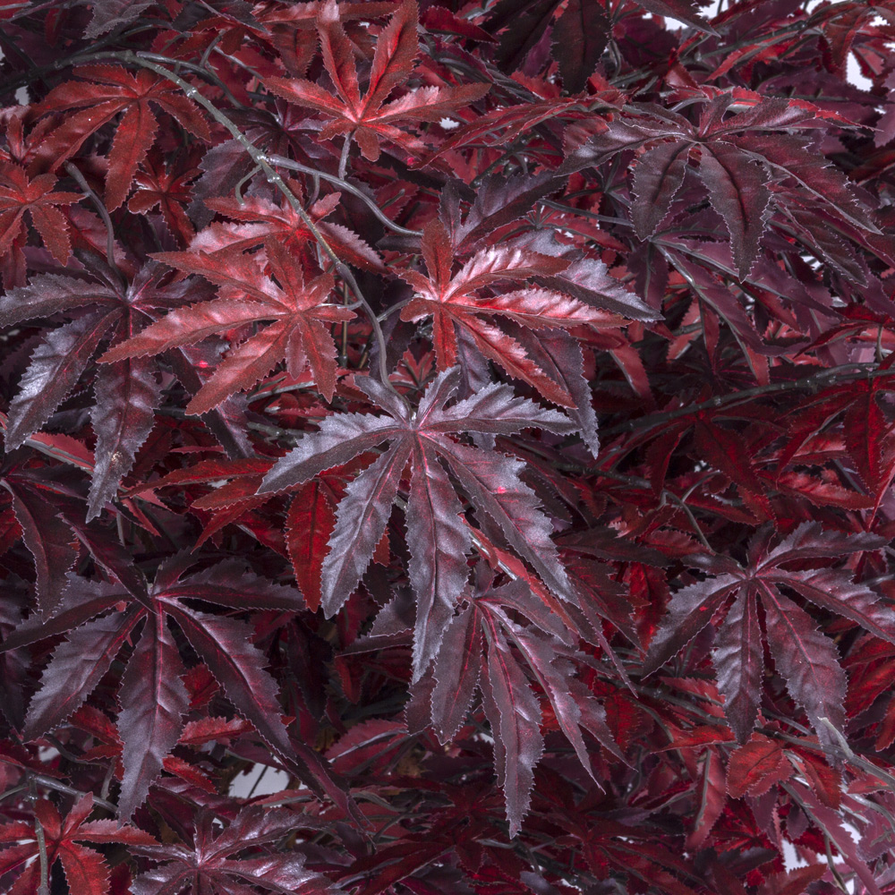 200/ОС/400-1(з) Клен японский искусственный h200см (латекс), бордо_4