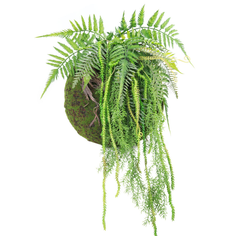 БТФ020-1(з.) Кочка с папоротником и ампельным аспарагусом d35см_1