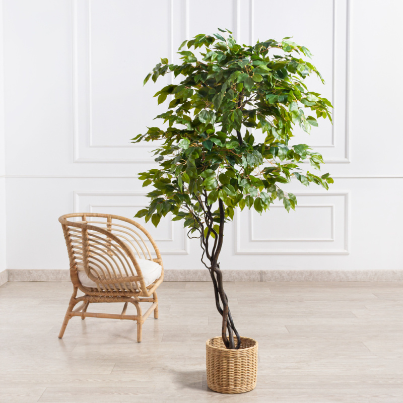 160/ВИТ/34(Пр)(F) Фикус искусственный h160см