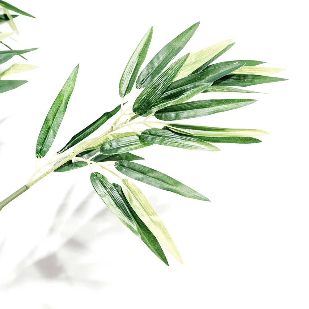 300/Б(з) Бамбук h300см(латекс)_2