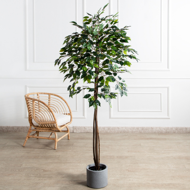 180/РН/ЭК/34(Пр)(F) Фикус искусственный h180см,(латекс)_1