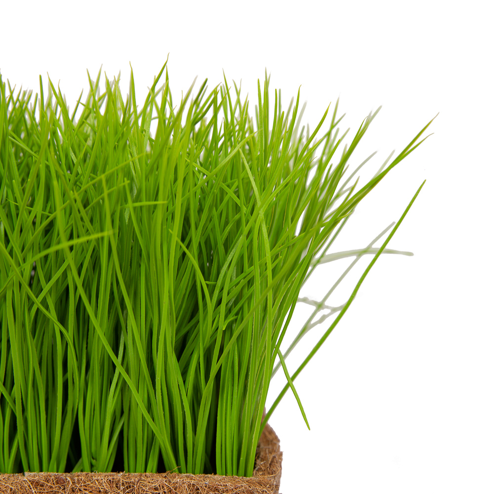 ТД058-25(з.) Трава Осока в кокосовом боксе 44*16*15_9