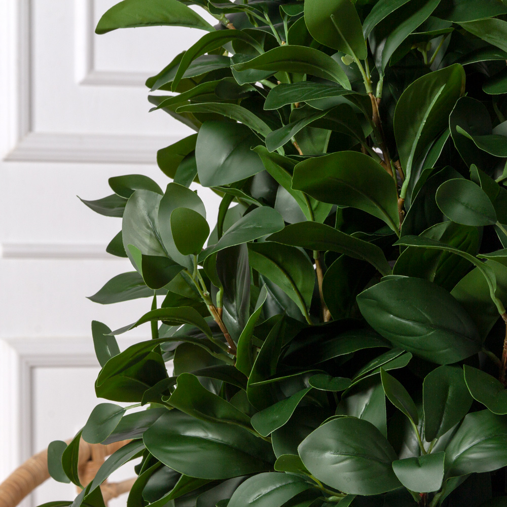 140/РН/64(з)(Пр) Рускус искусственный куст h140см, d50см(латекс)_2