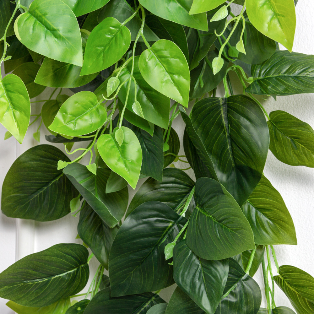 7144/0016-46(F) Плющ сциндапсус h100 зеленый_1