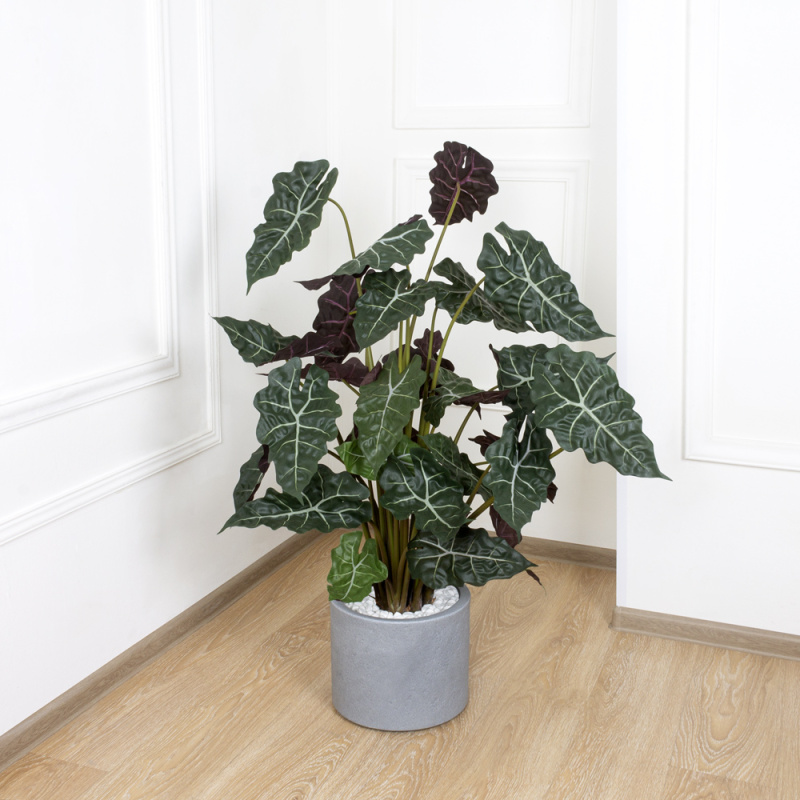 110/479(МТ) Алоказия искусственная h110см