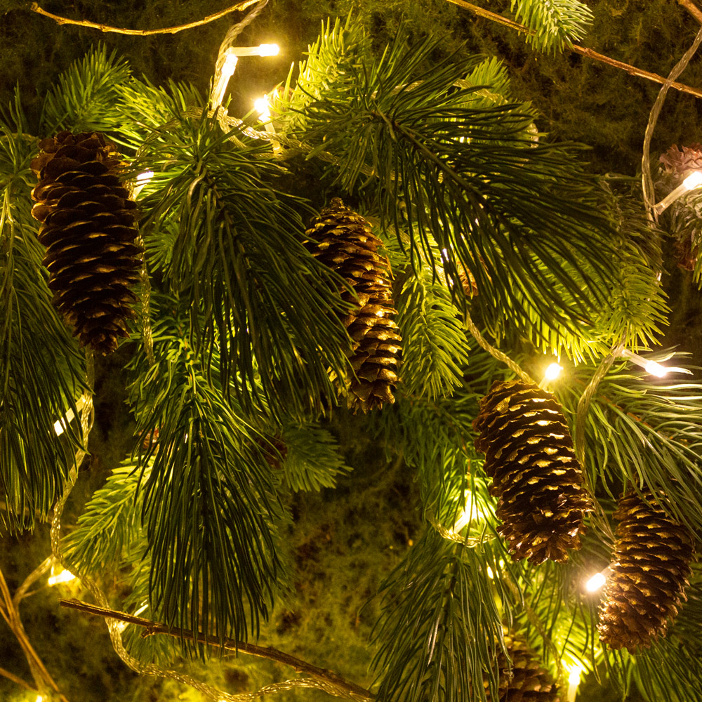 Фитостена 145 Новогодняя_4