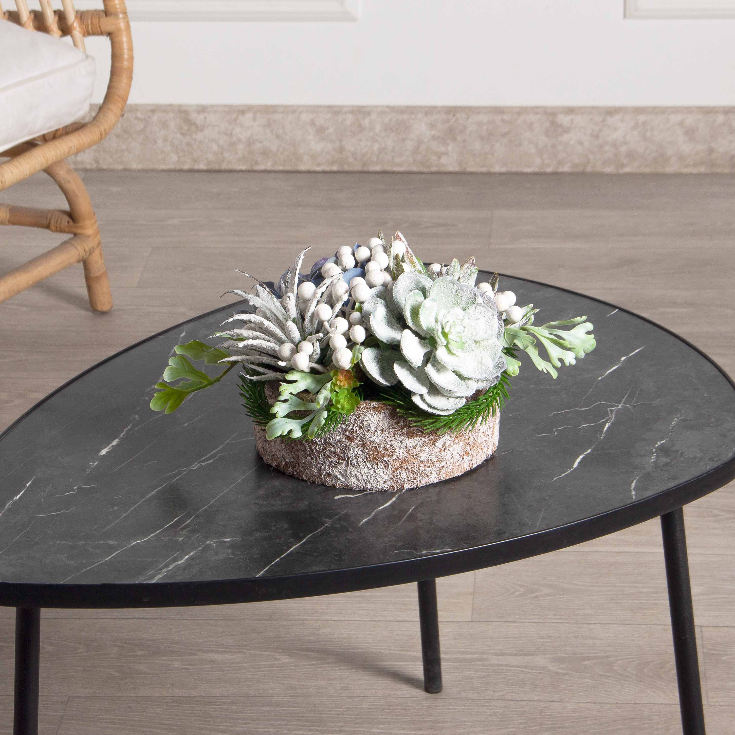 СКК08-1(з)(F) Суккуленты НГ в круглом забеленном кокосовом боксе d20см_2