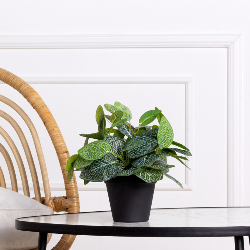 ЦС32/179 Фиттония искусственная h27см в кашпо (латекс)_5