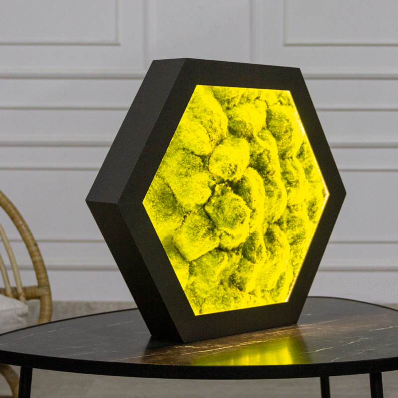 ФП23(Пр)(F) Фитопанно искусственное 