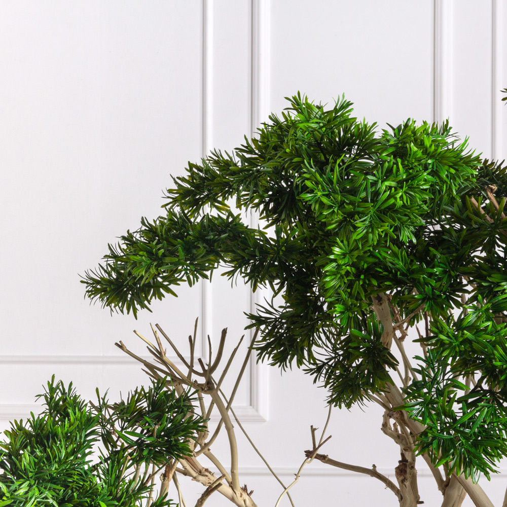 БЛ170/Д3/241 Бонсай искусственный Подокарпус h170см_2