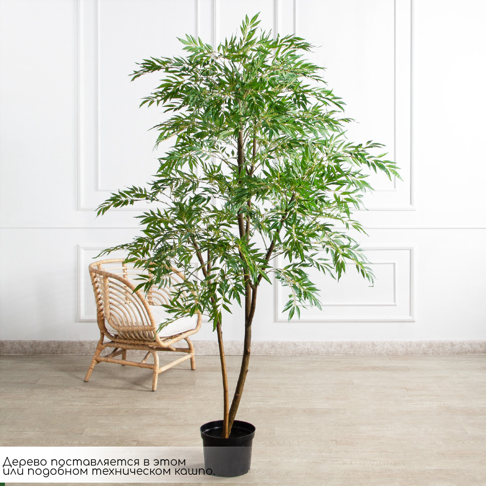 200/РН/ОК/700(Пр)(F) Магония искусственная h200см,(латекс)_2