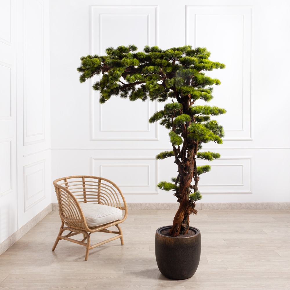 БС195/2К/ОС/3000(з)(F) Бонсай искусственный Сосна h195см_1