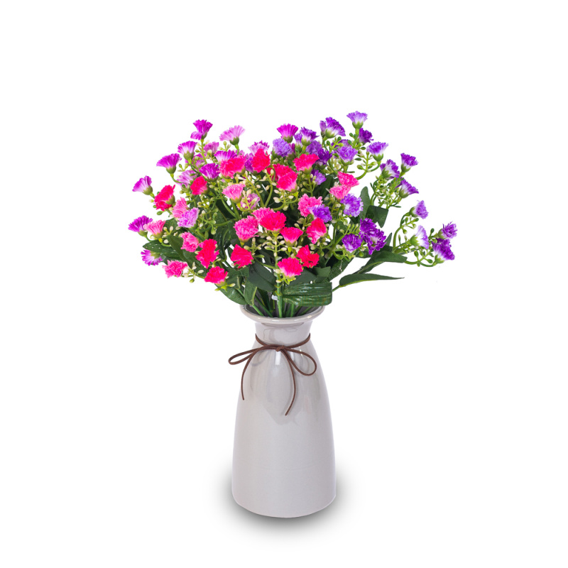 7142/0380-3 Гвоздика-диантус (микс)