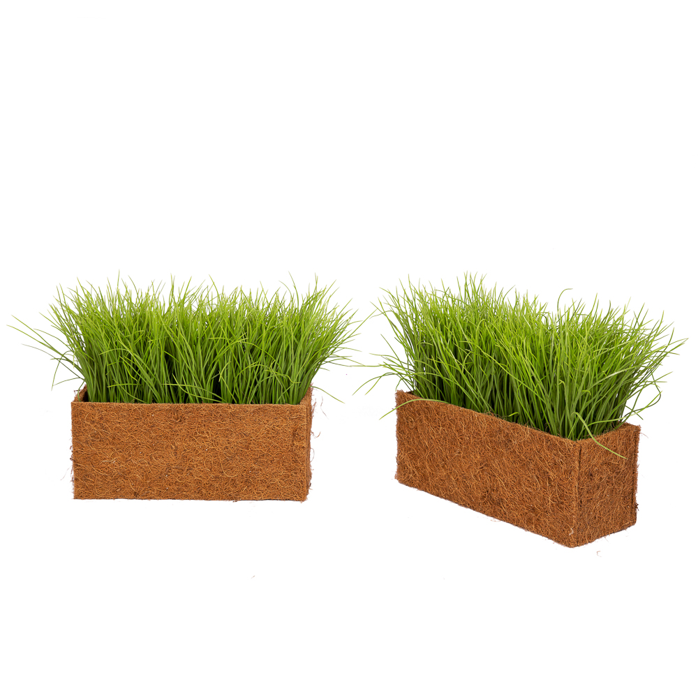 ТД058-20(з.) Трава Осока h18-20см в кокосовом боксе (36*14*h15см)_7