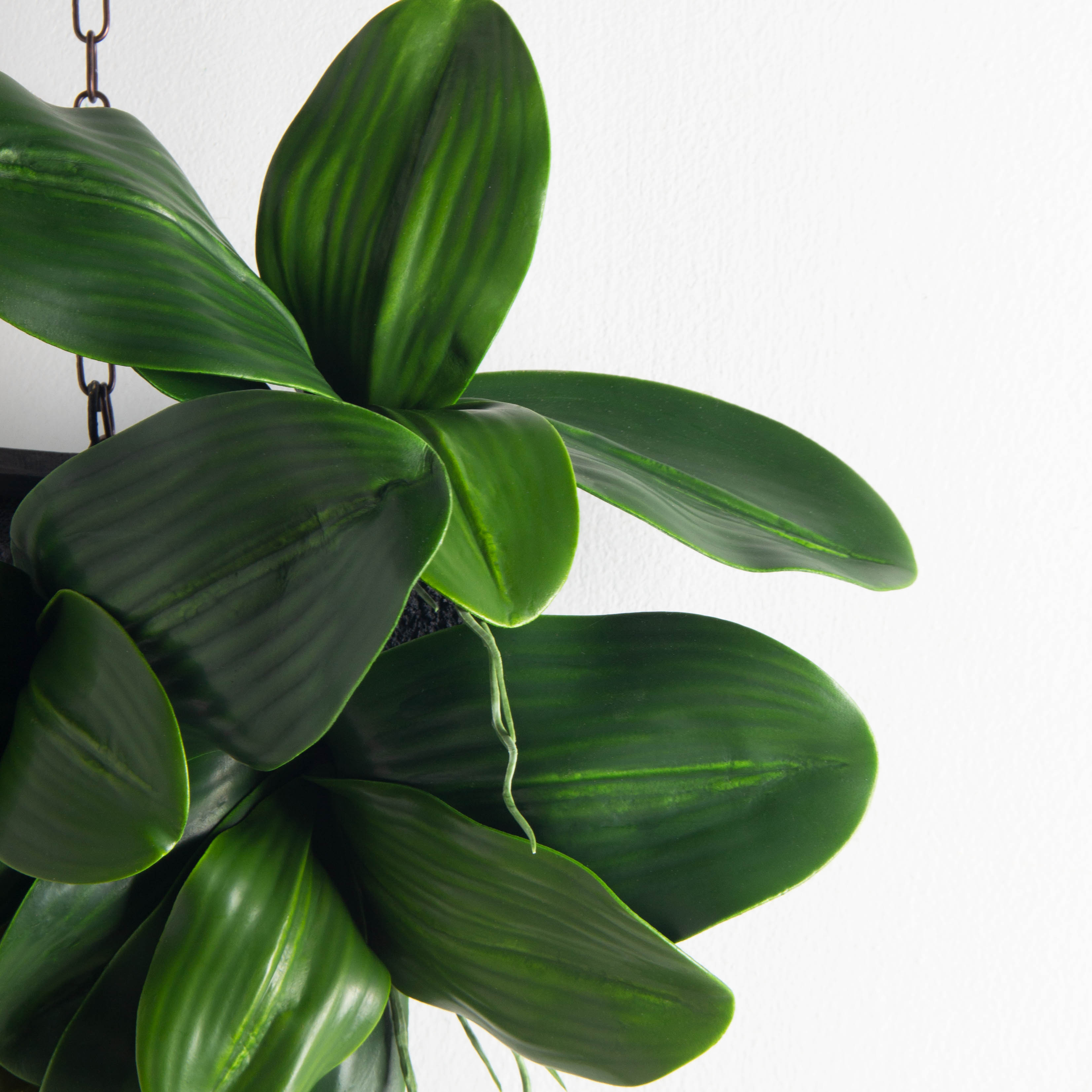 БК20(F) Композиция с листом орхидеи на блоке 15*h10см_4