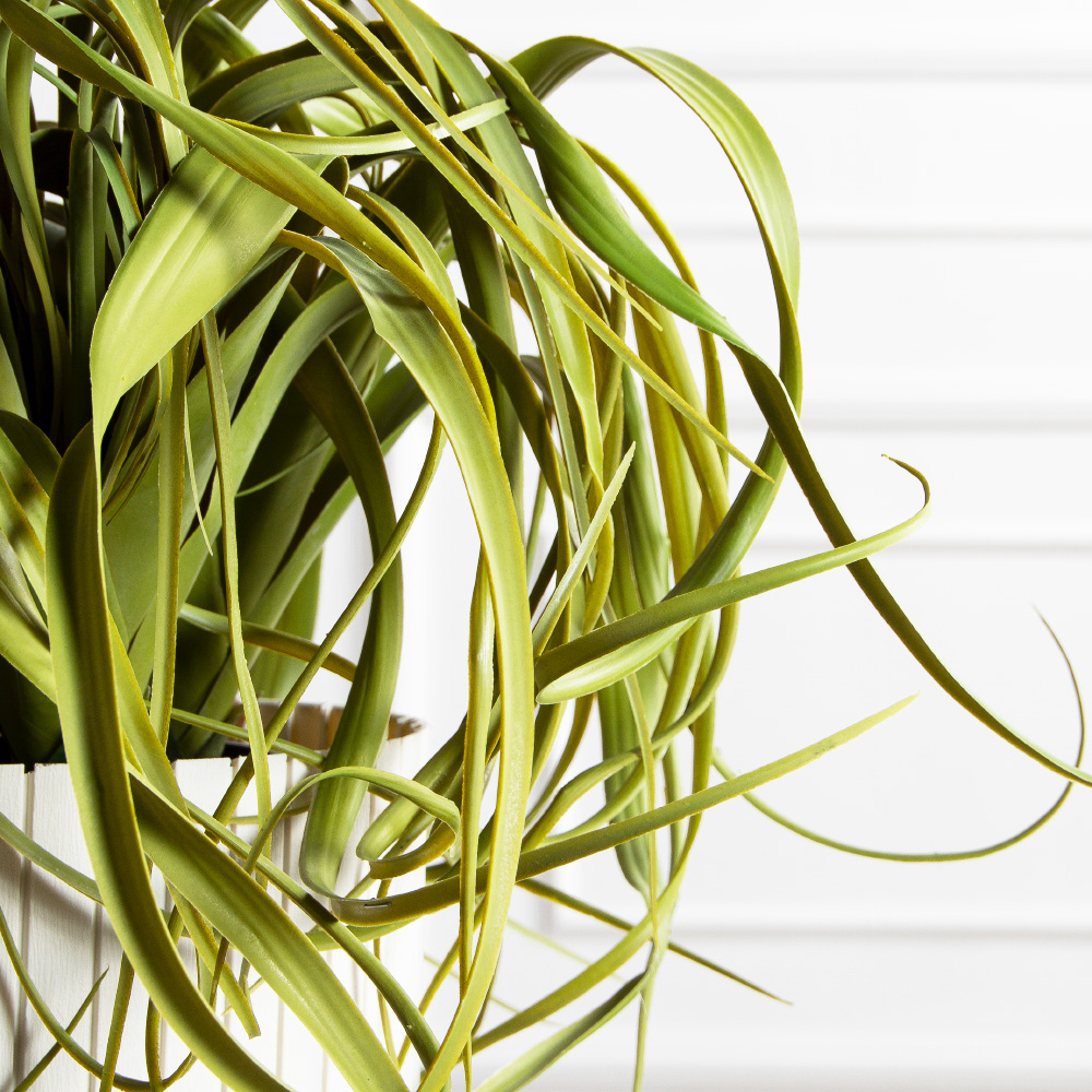 К571(з)(F) Композиция искусственная с тилландсией в кашпо_6