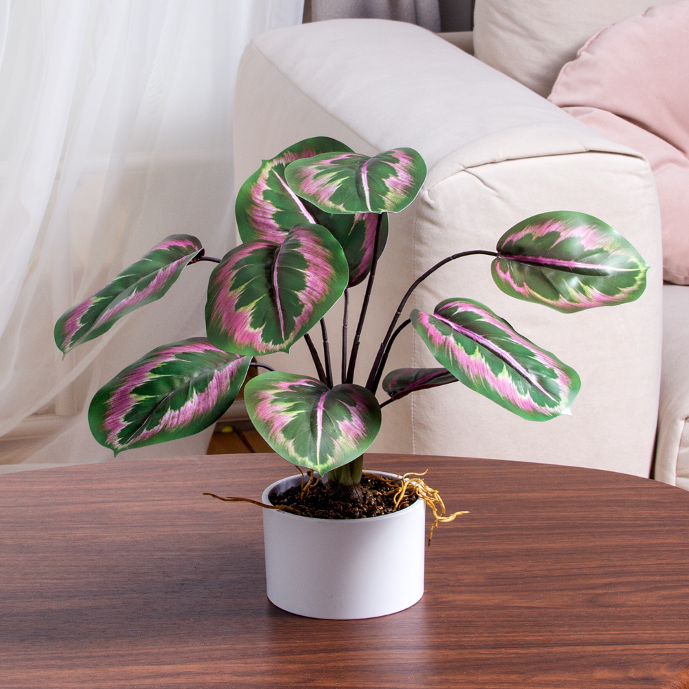 ЦС2144(F) Калатея искусственная зелёно-фиолетовая_5