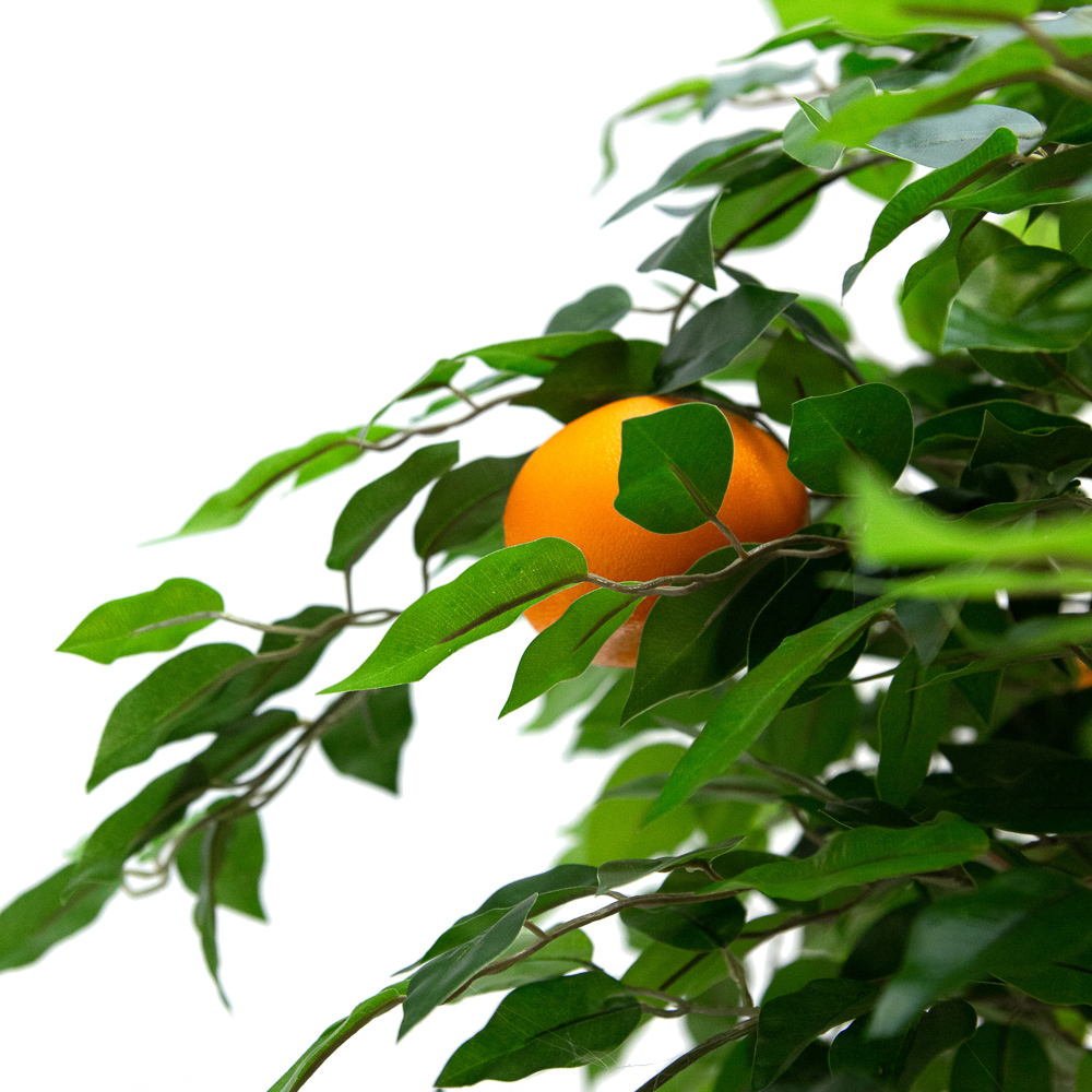 БП 100/24М Бонсай плодовый 