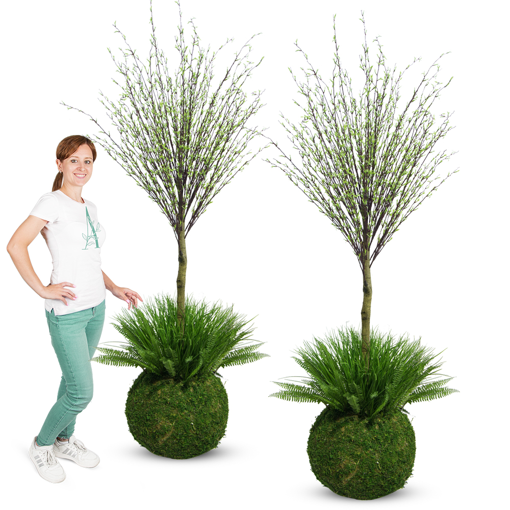 ККДД180/195(з.) Кокедама d40см Дерево с молодыми побегами h180см_4