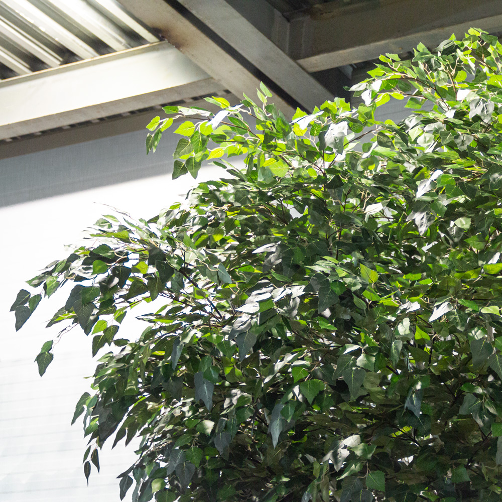 370/РН/12М-1(з/УУ) Береза искусственная h370см на основании _4